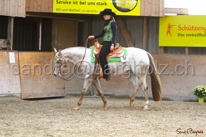 31-ApHC OWP_019.jpg